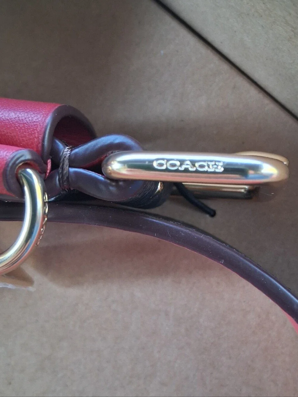 Coach Dog Collar